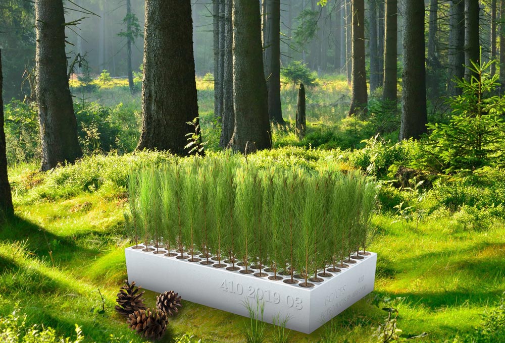 Seedling Growth systems